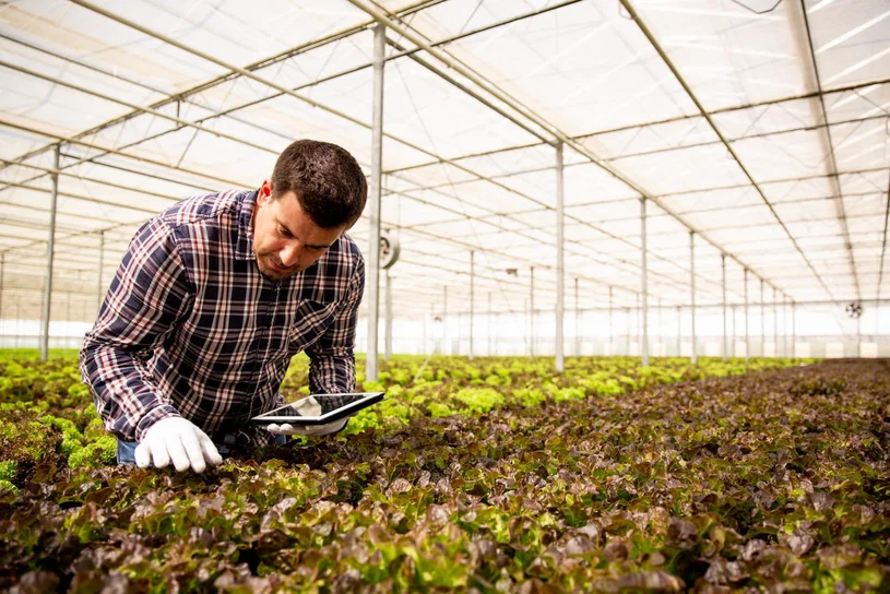 La Tecnologia En El Campo Tiene Muchos Beneficios Scaled