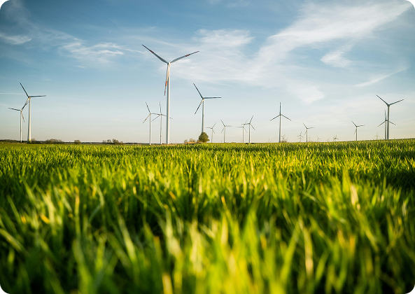 Parque eólico con aerogeneradores en campo verde para energía renovable