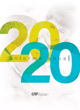 Informe anual 2020