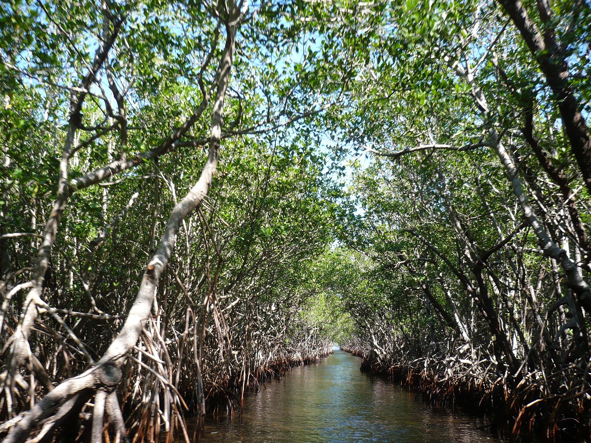 Resiliencia y adaptación climática