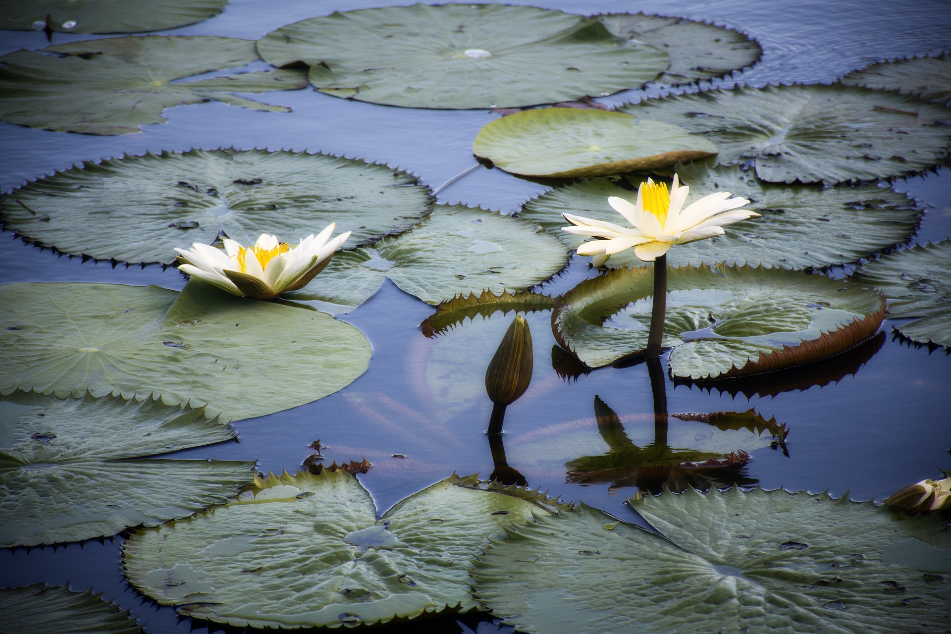Imagen destacada del post