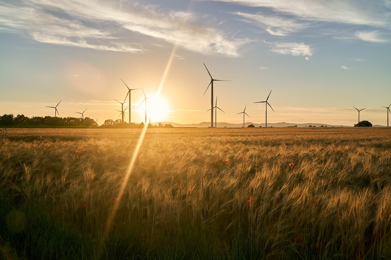Cómo mitigar la frustración con la agenda climática