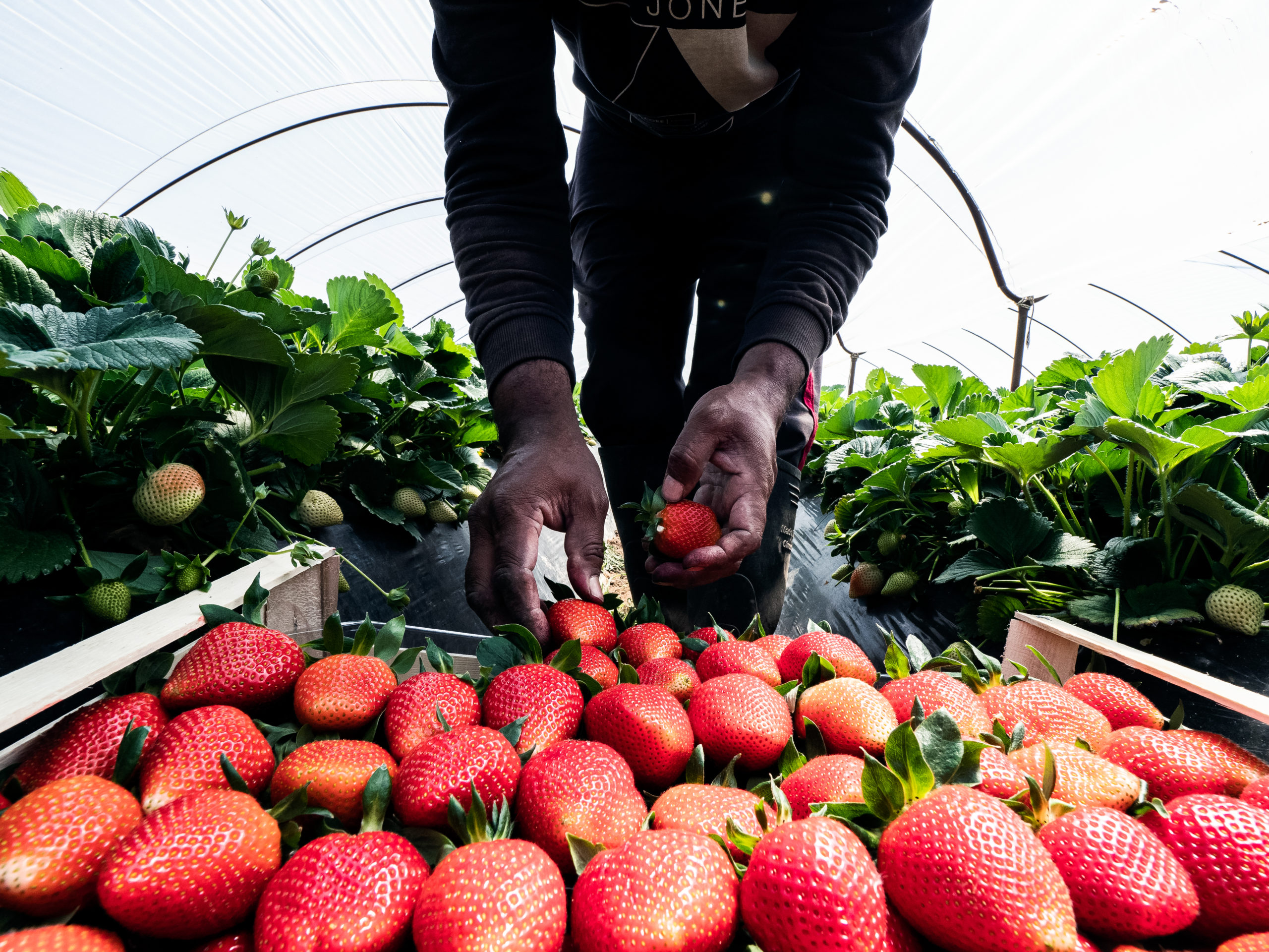 La barrera de la calidad: un obstáculo silencioso para el desarrollo productivo en América Latina y el Caribe