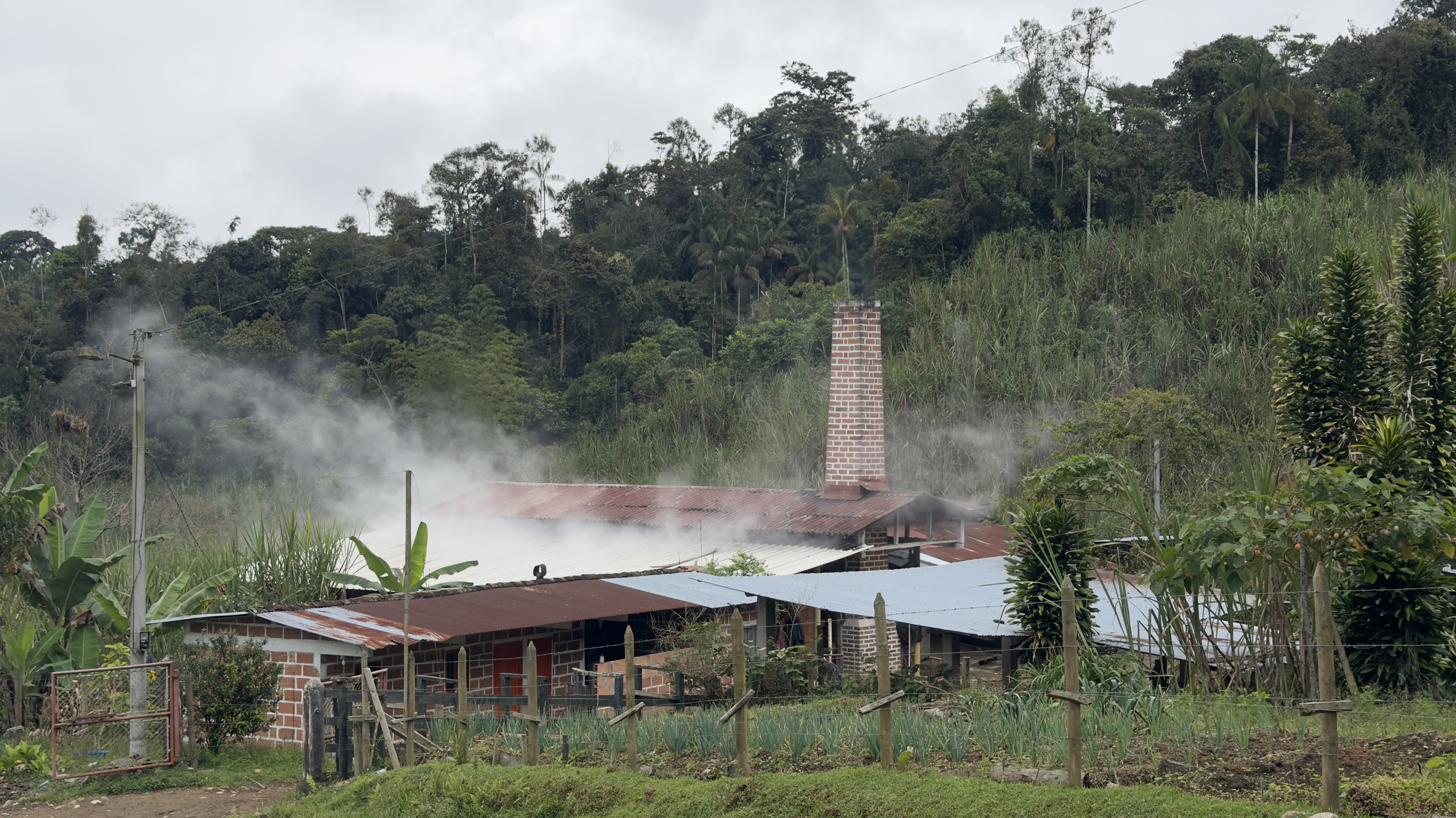 La producción de panela en Colombia avanza hacia un modelo sostenible y eficiente