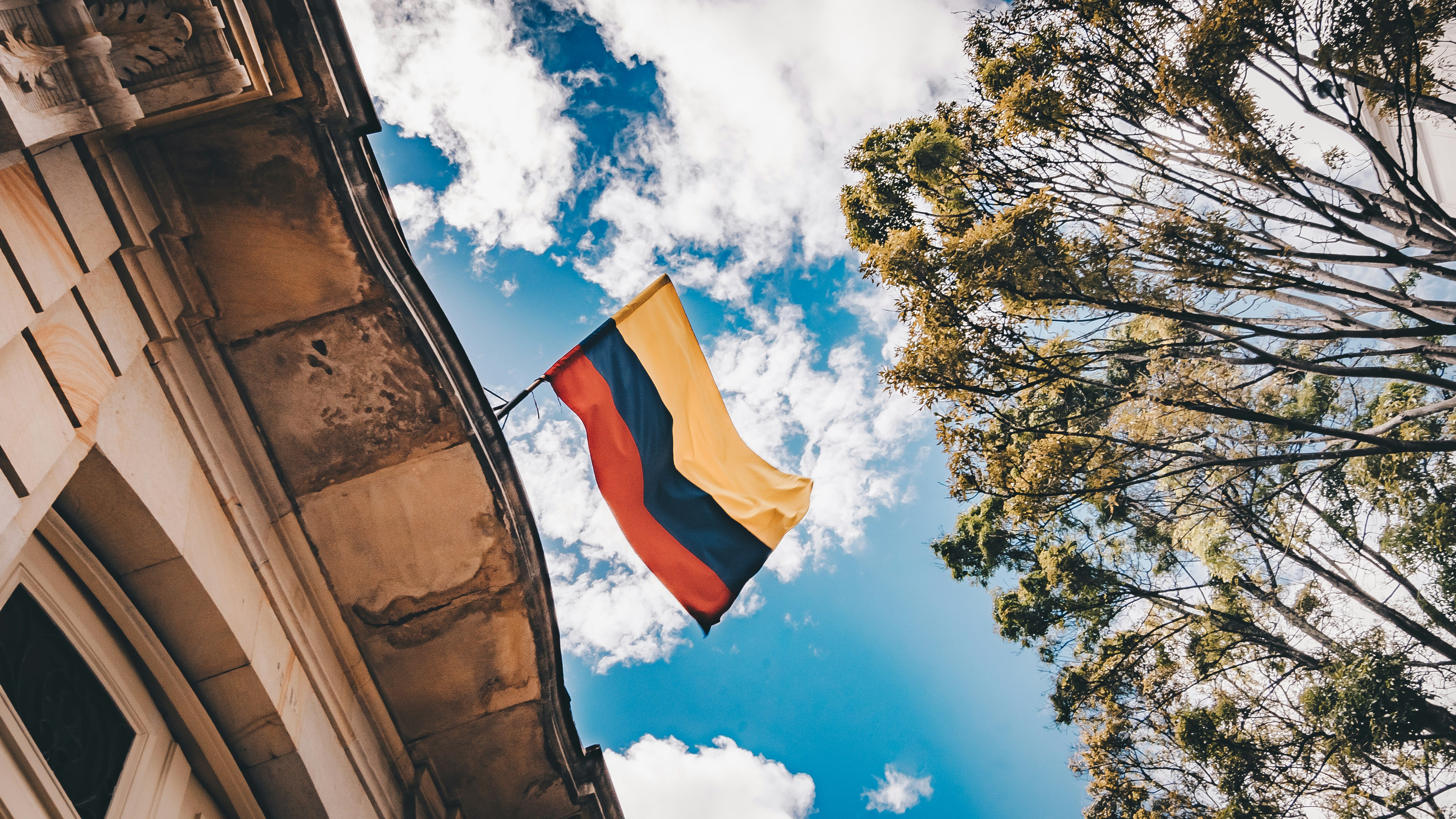 Bandera de Colombia ondeando frente al cielo azul entre las copas de los árboles