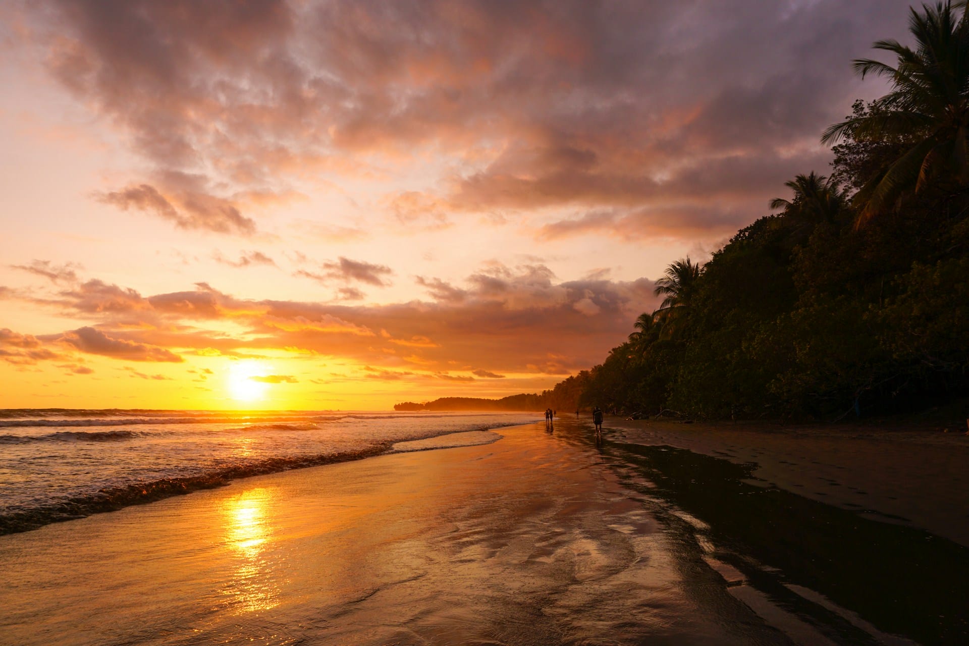 Atardecer dorado sobre la orilla de una playa rodeada de selva tropical en la costa de Costa Rica.