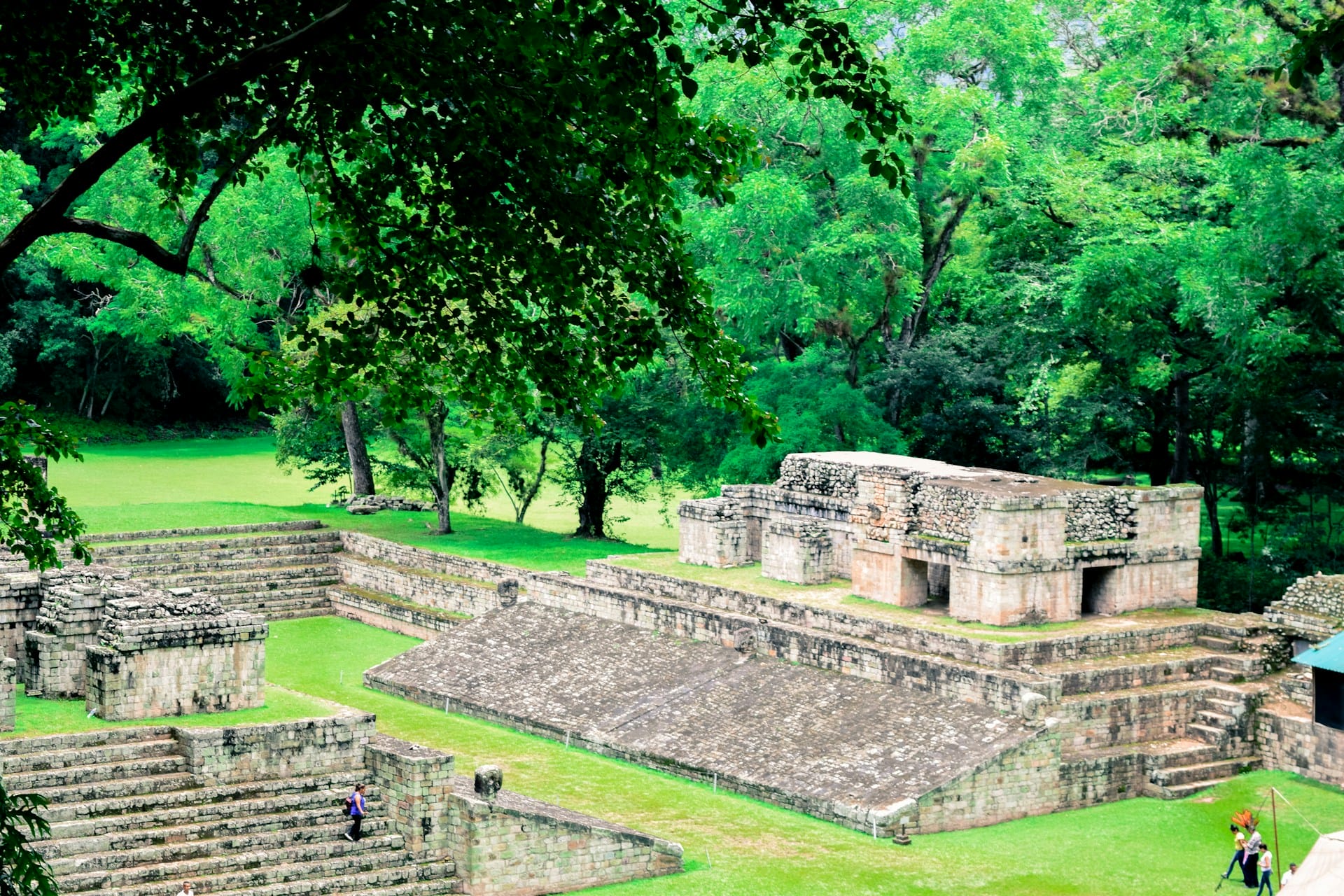 Estructuras de piedra prehispánicas de la civilización maya rodeadas por densa vegetación tropical en Copán.